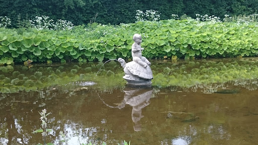 Baby On A Turtle