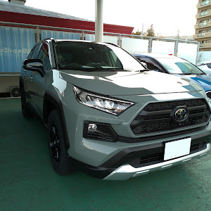 RAV4 MXAA54