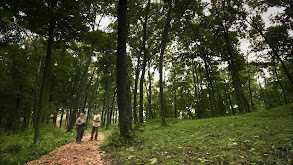 The Lost People of Cahokia thumbnail