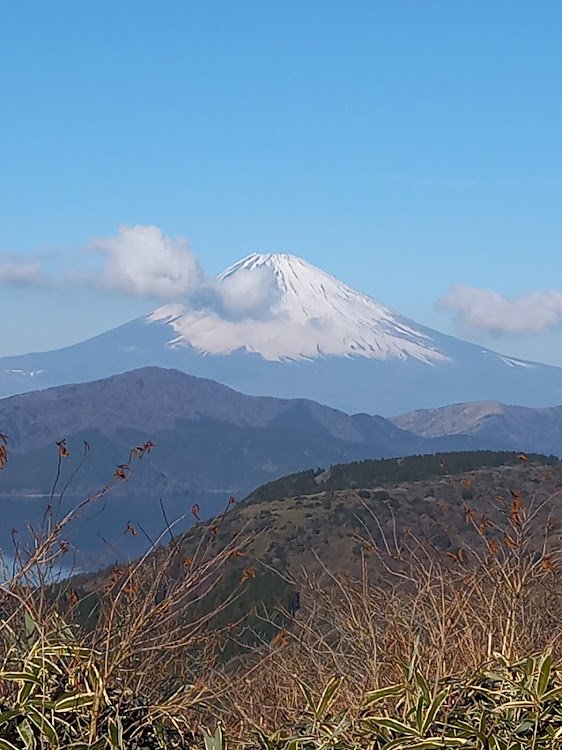 の投稿画像2枚目