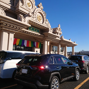RAV4 MXAA54