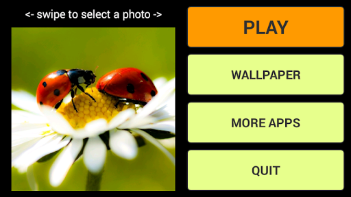 Ladybug Puzzle + LWP