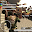 Operation Basalat Multiplayer Download on Windows