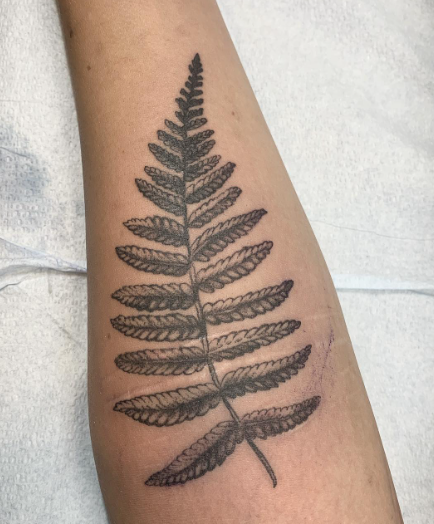 Forearm fern tattoo designs