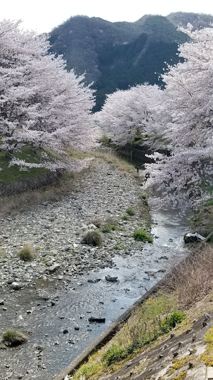 の投稿画像11枚目