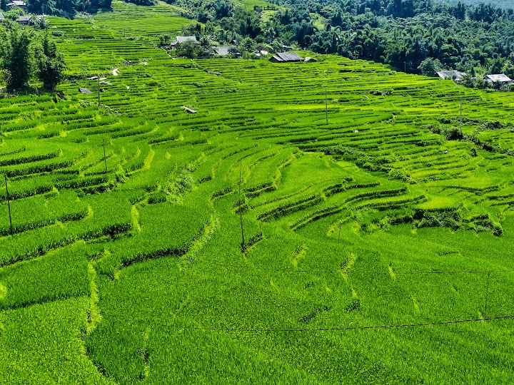 SAPA - CUADERNO DEL VIAJE A VIETNAM Y MALASIA (18)