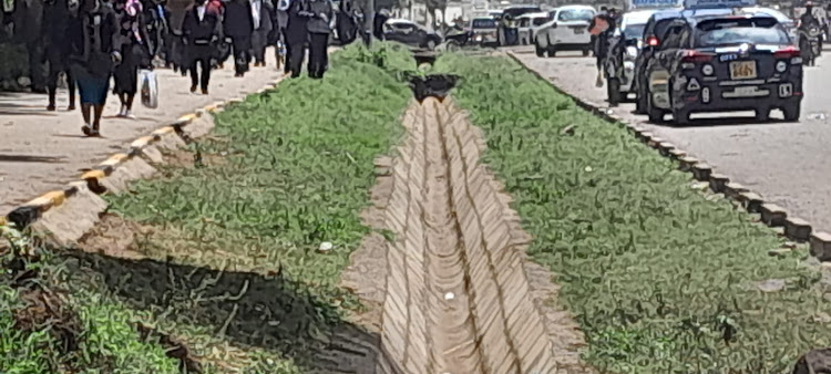 The trench where the police officer was found dead in Eldoret