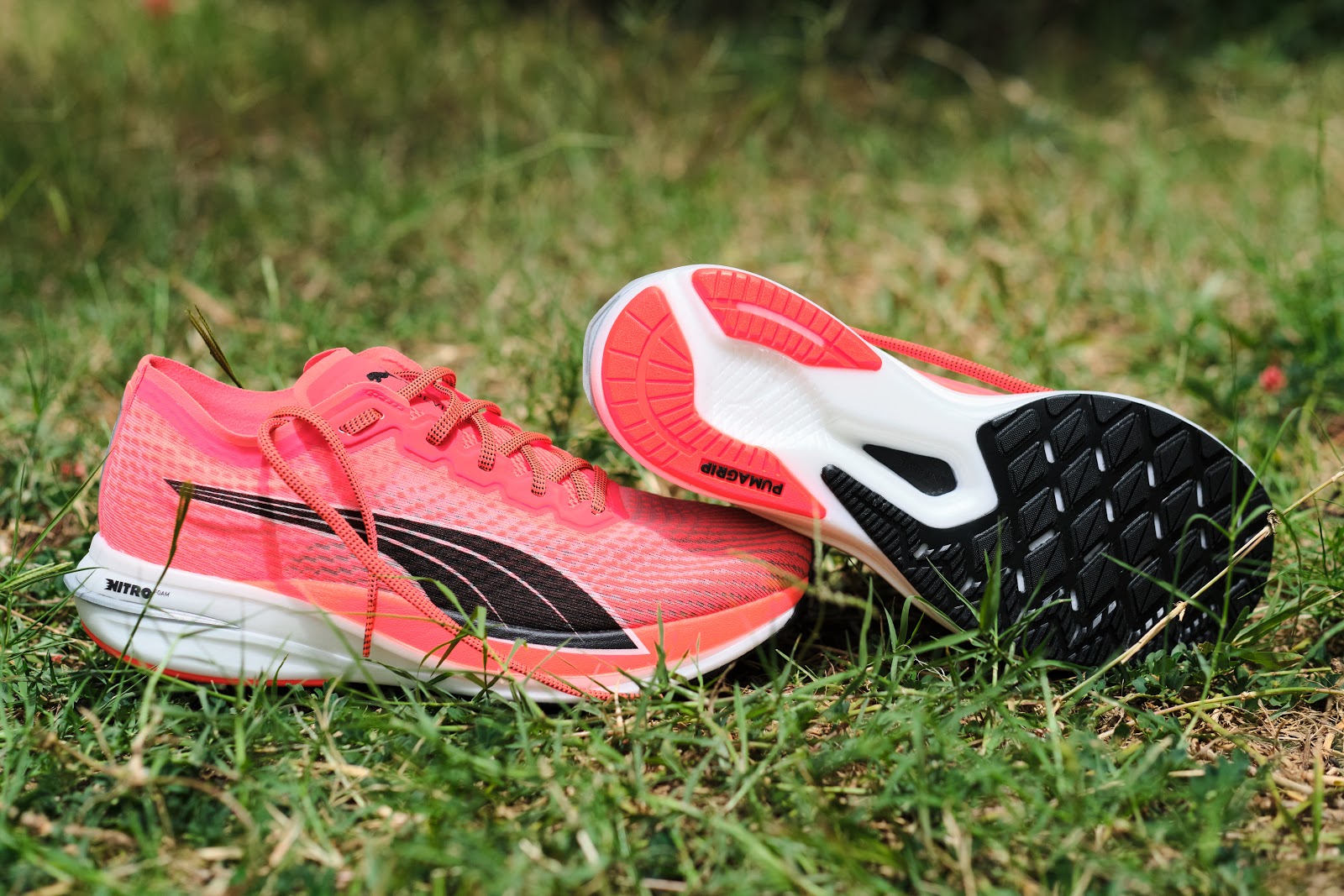 Road Trail Run: Puma Running Deviate Nitro Review: The Cat is Out of the  Bag! 16 Comparisons.