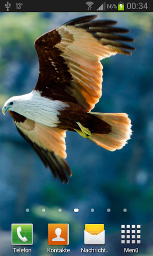 Eagle Live Wallpaper