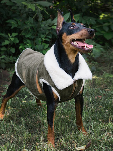 Title 6, Pet Dog Cat Autumn And Winter Clothes Brown Sue...
