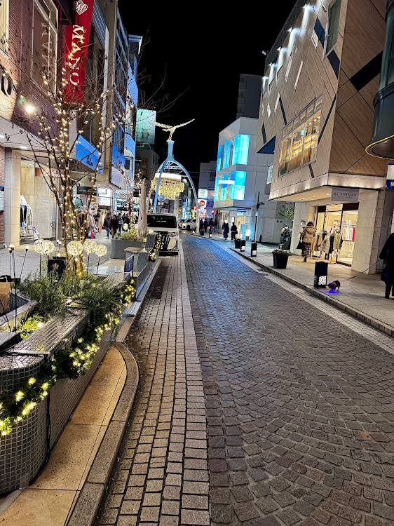 アルファードの元町商店街・クリスマスイルミネーション・冬の空・冬の空と愛車・さむいに関するカスタム事例の投稿画像10枚目