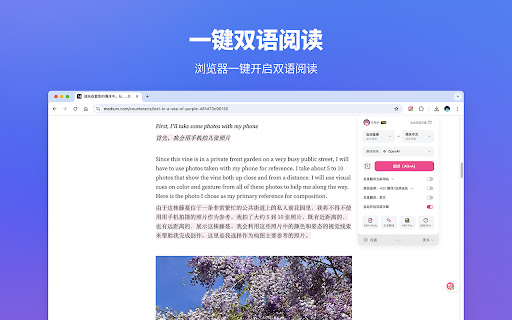 沉浸式翻译 - 网页翻译插件 | PDF翻译 | 免费