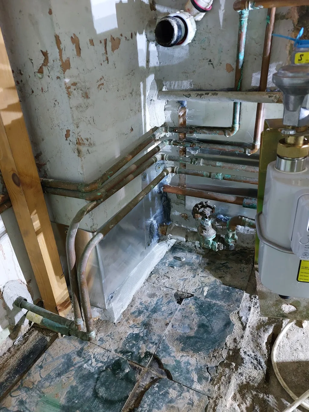 Album cover: Pest proofing- 3