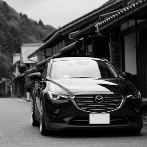 CX-3 DKEFW