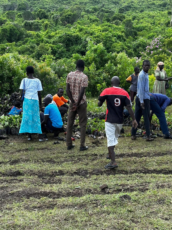 Residents of Kamahuha, Maragua Constituency take part in the tree planting at Kiambicho Forest Maragua Constituency on May 10,2024.