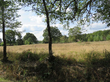 terrain à Clémont (18)