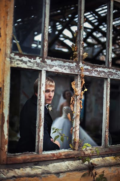 結婚式の写真家Dmitriy Pisarev (dmtrp)。2013 12月18日の写真