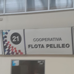 COOPERATIVA DE TRANSPORTE FLOTA PELILEO