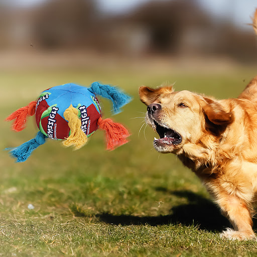 Title 2, Dog Toy Twisted Sugar Sniffing Ball, Molar Puzz...