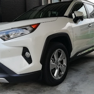 RAV4 MXAA54