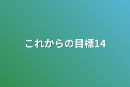 これからの目標14