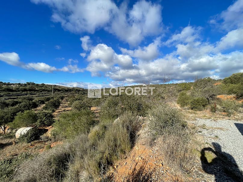 Vente terrain  22000 m² à Baixas (66390), 120 000 €