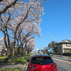 MAZDA2