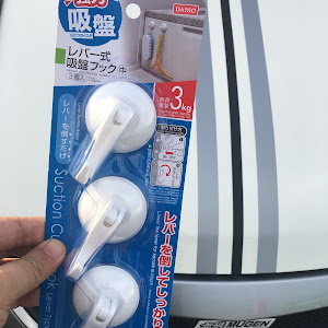 エリシオン RR1