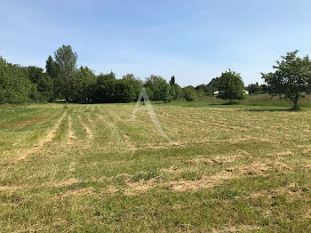 terrain à Saint-André-de-Lidon (17)