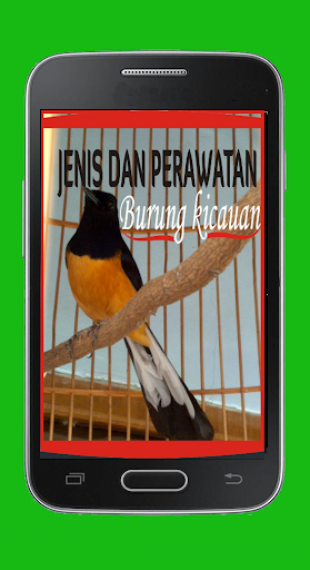 Perawatan Burung Kicau