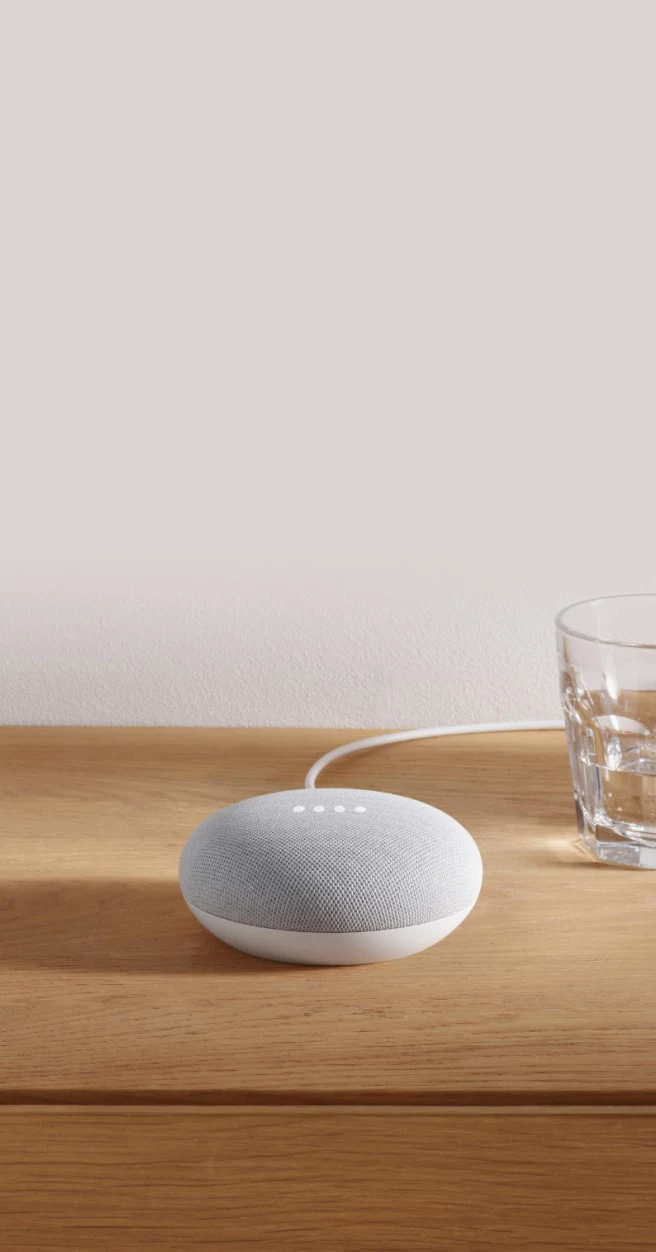 Google Home - Assistente Vocale Domotica controllo vocale Wifi Speaker  microfono colore Bianco / Grigio - GA00341-IT