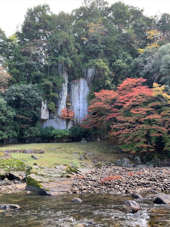 の投稿画像2枚目