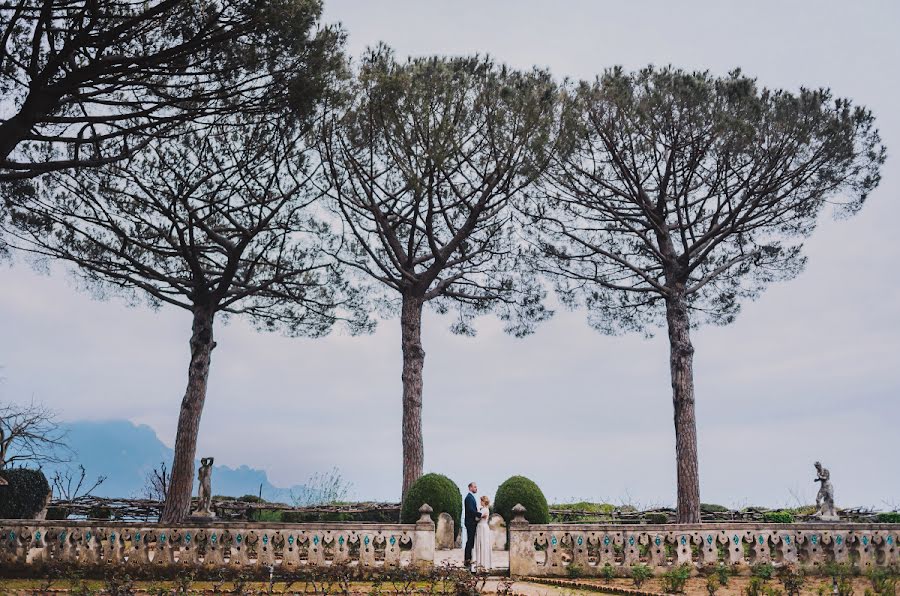 Düğün fotoğrafçısı Denis Komarov (komaroff). 15 Haziran 2015 fotoları