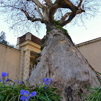 la scalata della formica di 