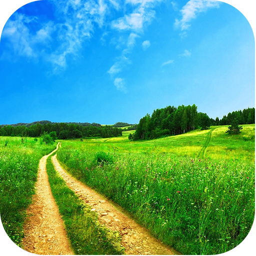 Nature Grass Wallpapers 娛樂 App LOGO-APP開箱王