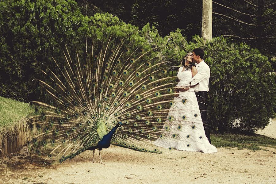 Fotógrafo de bodas Tarcisio Soares (tarcisiosoares). Foto del 19 de enero 2018