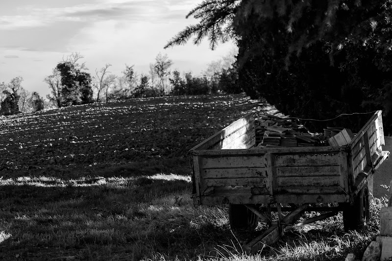 Ombre lunghe in campagna di Eraldo Taioli