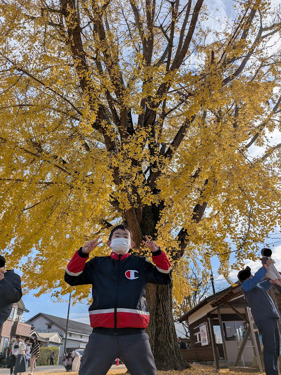 トゥインゴの鶉野飛行場跡・網引駅・ふく蔵・本家かつめし亭・Euro Auto APISに関するカスタム事例の投稿画像10枚目