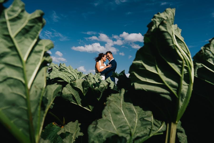 Fotógrafo de bodas Inneke Gebruers (innekegebruers). Foto del 23 de agosto 2019