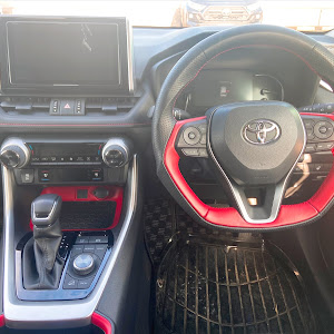 RAV4 MXAA54