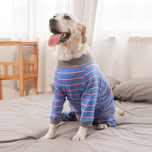 Title 18, Pet Dog Home Sterilization Clothes Protects pos...