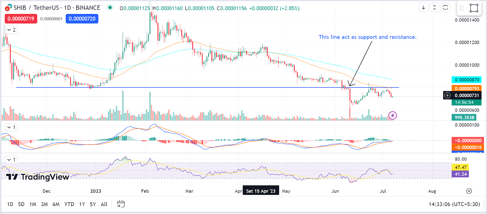 Shiba Inu Coin Detail info and prediction