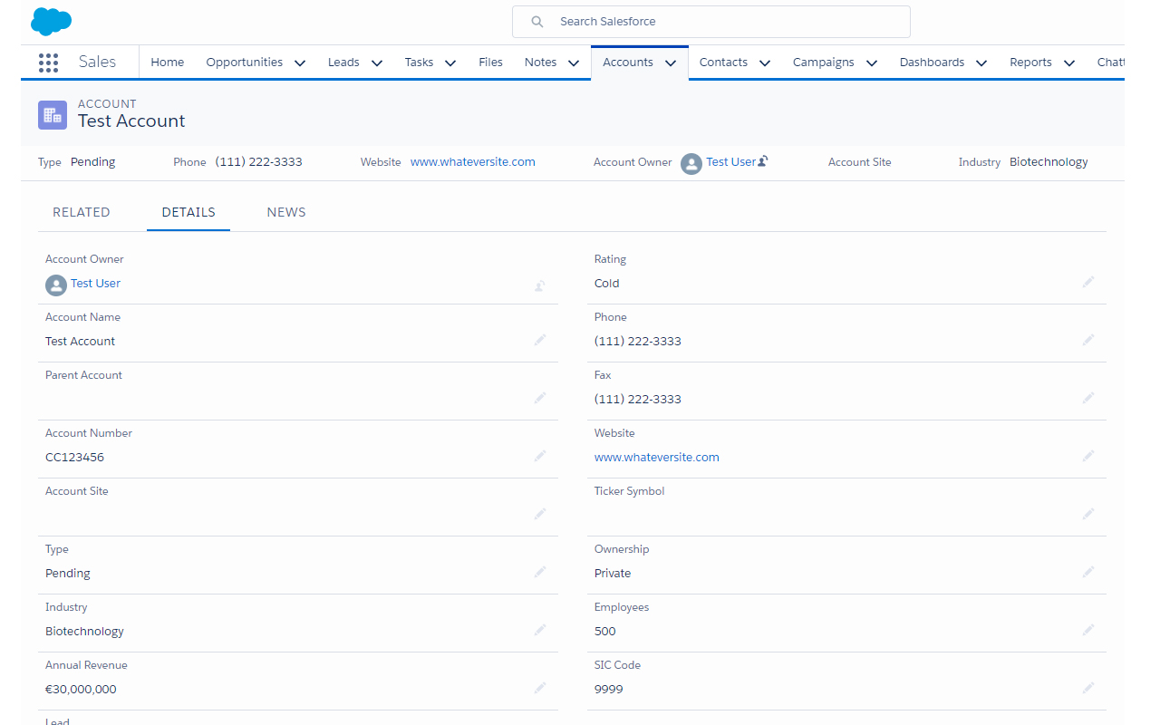 Salesforce Lightning Compact Styler Preview image 4