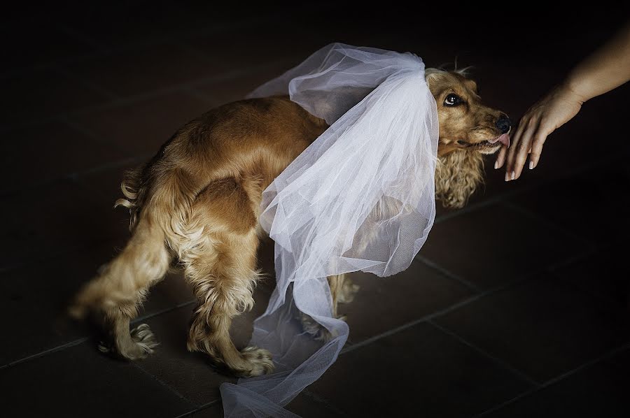 Wedding photographer Nunzio Bruno (nunziobruno). Photo of 26 July 2016