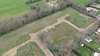 terrain à Martinet (85)