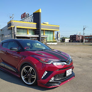 C-HR NGX50