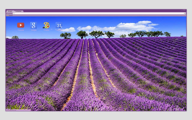 Lavender field in Provence, France 2560x1440 chrome extension