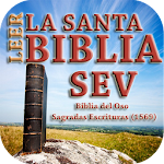 Cover Image of Download Biblia del Oso SEV 1569 1.0 APK