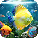 Aquarium Fish Live Wallpaper icon