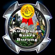 Kicau Master Burung 1.1 Icon